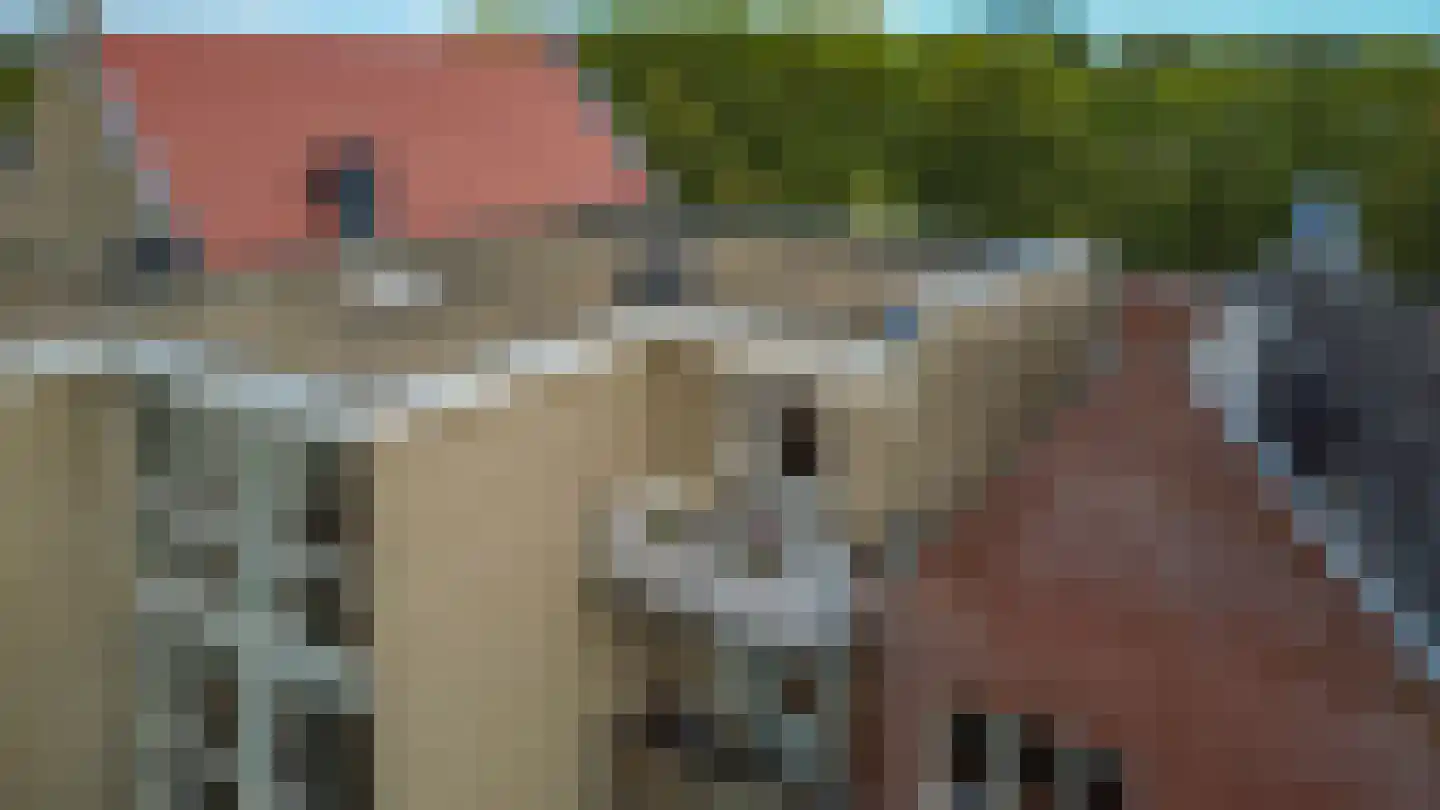 C.P. Klapstraat 30 Maarssen thumbnail 32