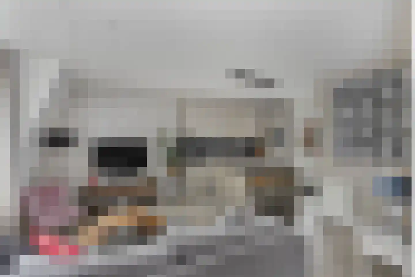 C.P. Klapstraat 30 Maarssen thumbnail 8