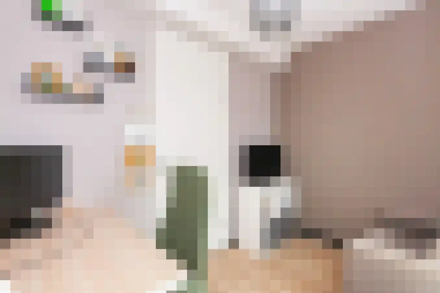 C.P. Nonnerstraat 6 Heinenoord thumbnail 28
