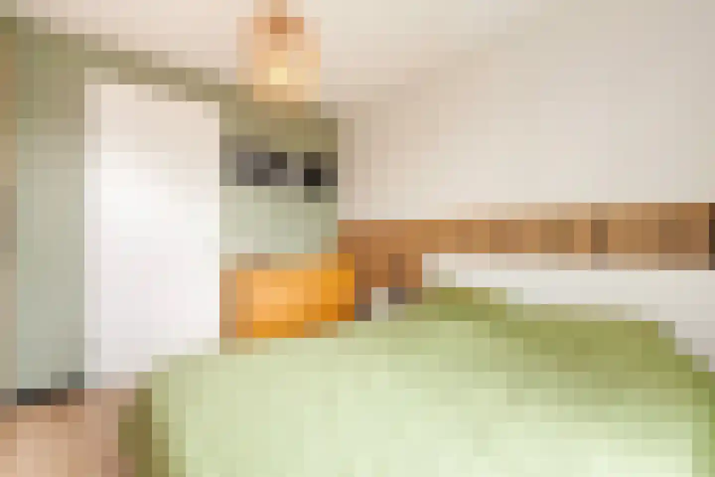C.P. Nonnerstraat 6 Heinenoord thumbnail 31