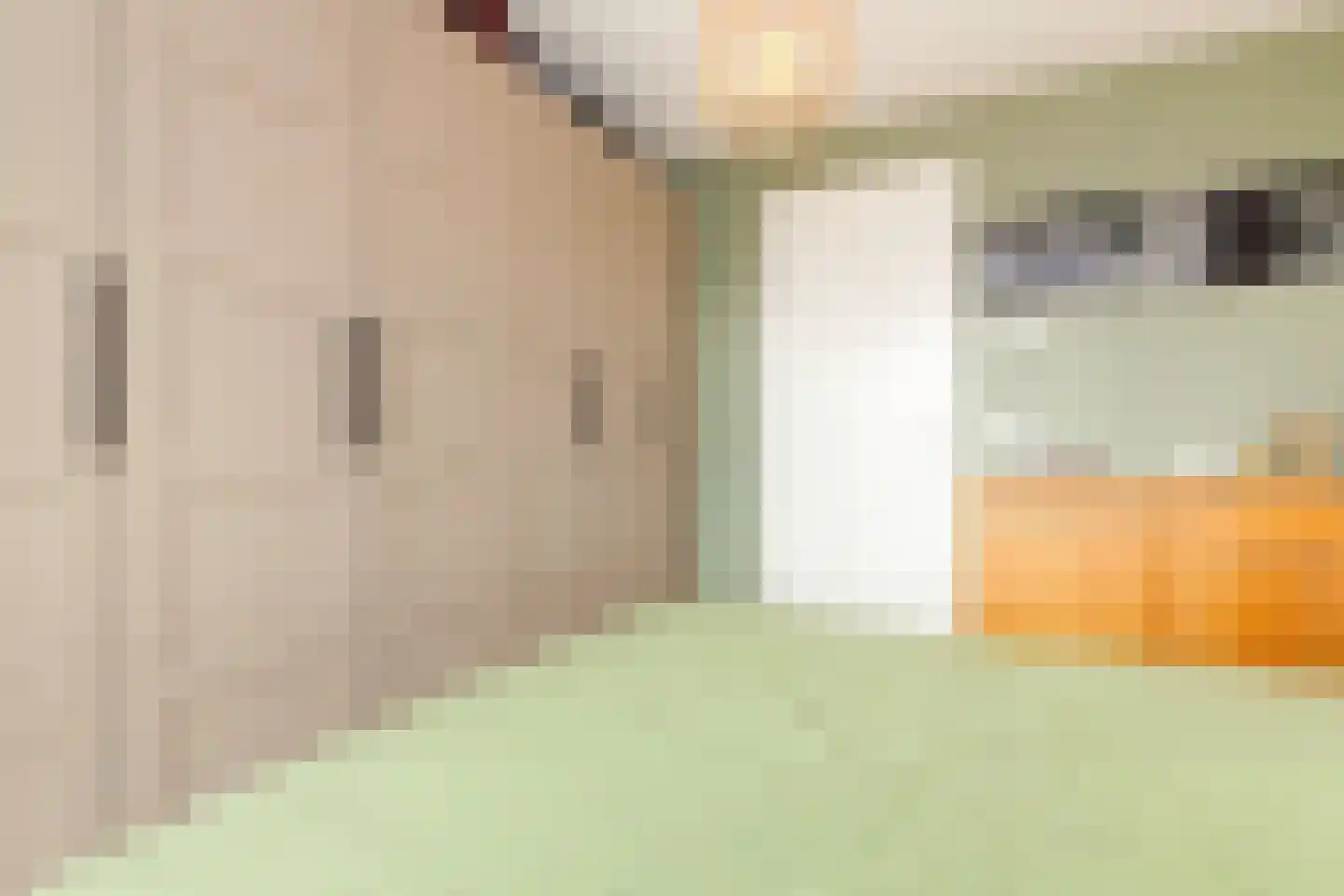 C.P. Nonnerstraat 6 Heinenoord thumbnail 32