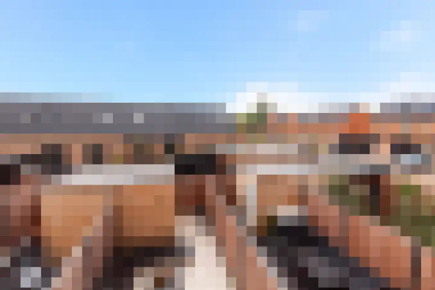 C.P. Nonnerstraat 6 Heinenoord thumbnail 35