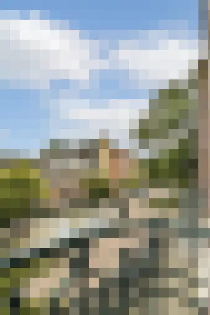 C.P.Tielestraat 9 A Rotterdam thumbnail 9