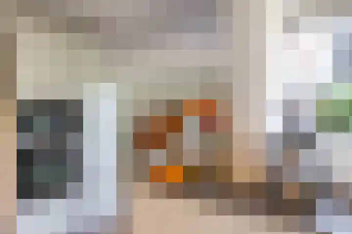 C. Pothuisstraat 38 Groningen thumbnail 18