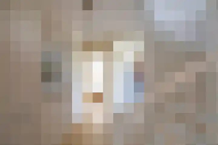 C. Pothuisstraat 38 Groningen thumbnail 36