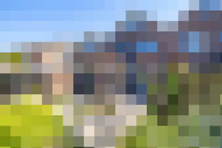 C. Pothuisstraat 38 Groningen thumbnail 46