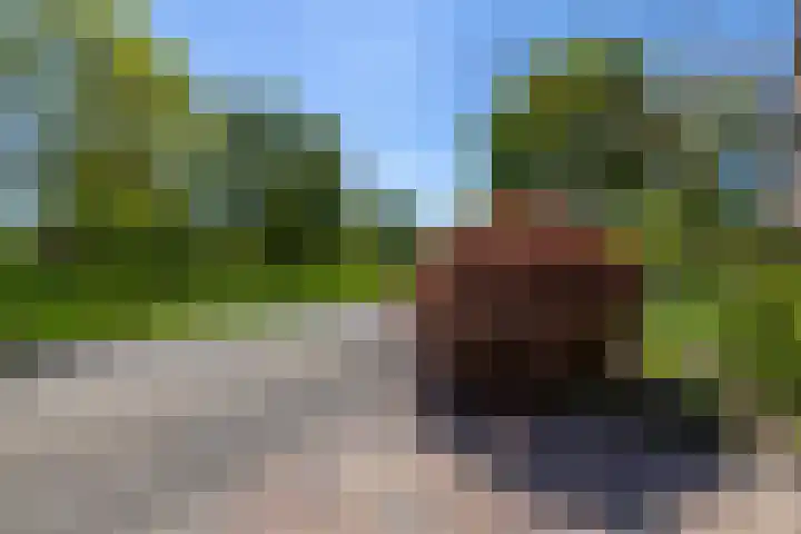 C. Pothuisstraat 38 Groningen thumbnail 47
