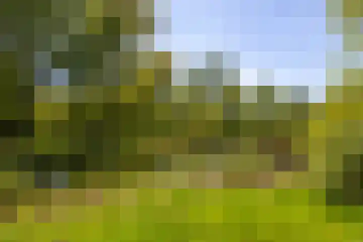 C. Pothuisstraat 38 Groningen thumbnail 48