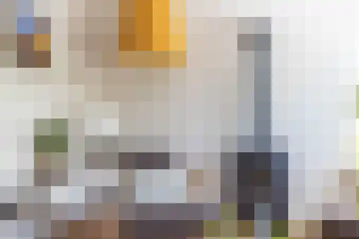 C. Pothuisstraat 38 Groningen thumbnail 8