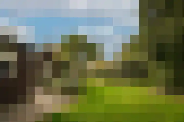 C R Waiboerweg 3 Millingen aan de Rijn thumbnail 24