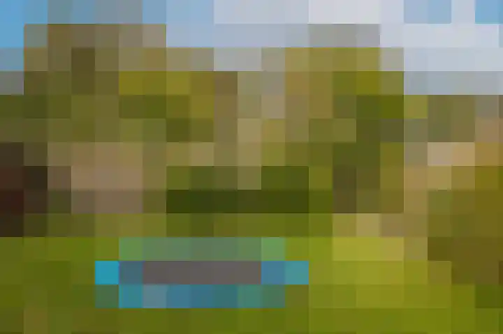 C R Waiboerweg 3 Millingen aan de Rijn thumbnail 25