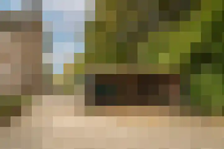 C R Waiboerweg 3 Millingen aan de Rijn thumbnail 32