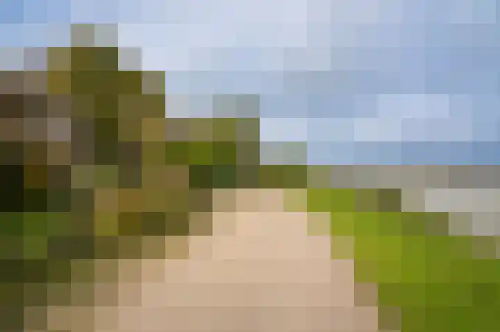 C R Waiboerweg 3 Millingen aan de Rijn thumbnail 35