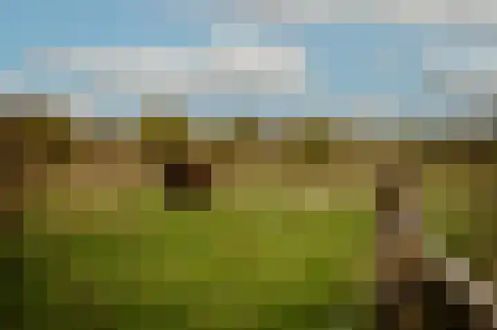 C R Waiboerweg 3 Millingen aan de Rijn thumbnail 39