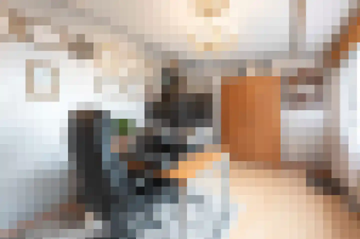 C Raaijmakerslaan 12 Oudenbosch thumbnail 10