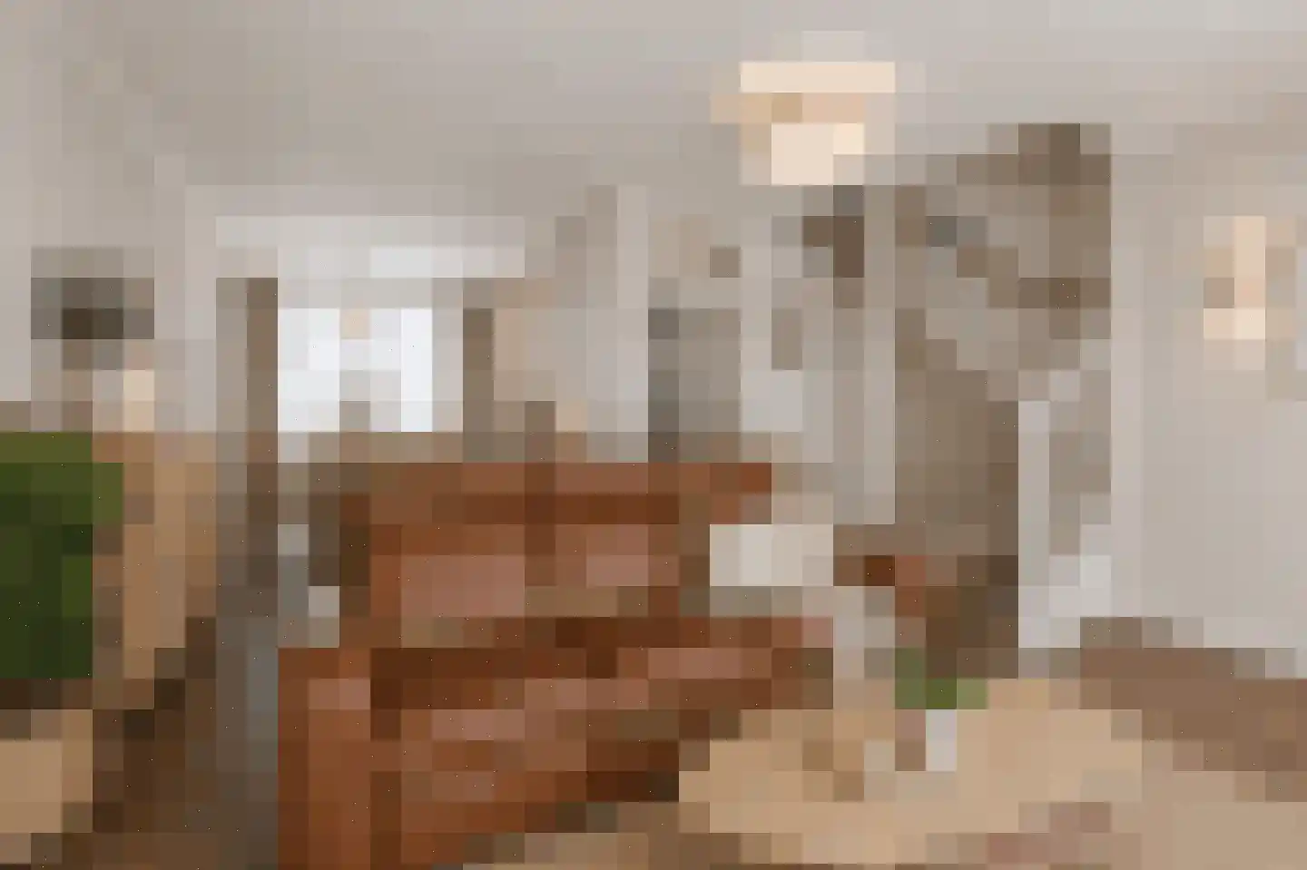 C Raaijmakerslaan 12 Oudenbosch thumbnail 15
