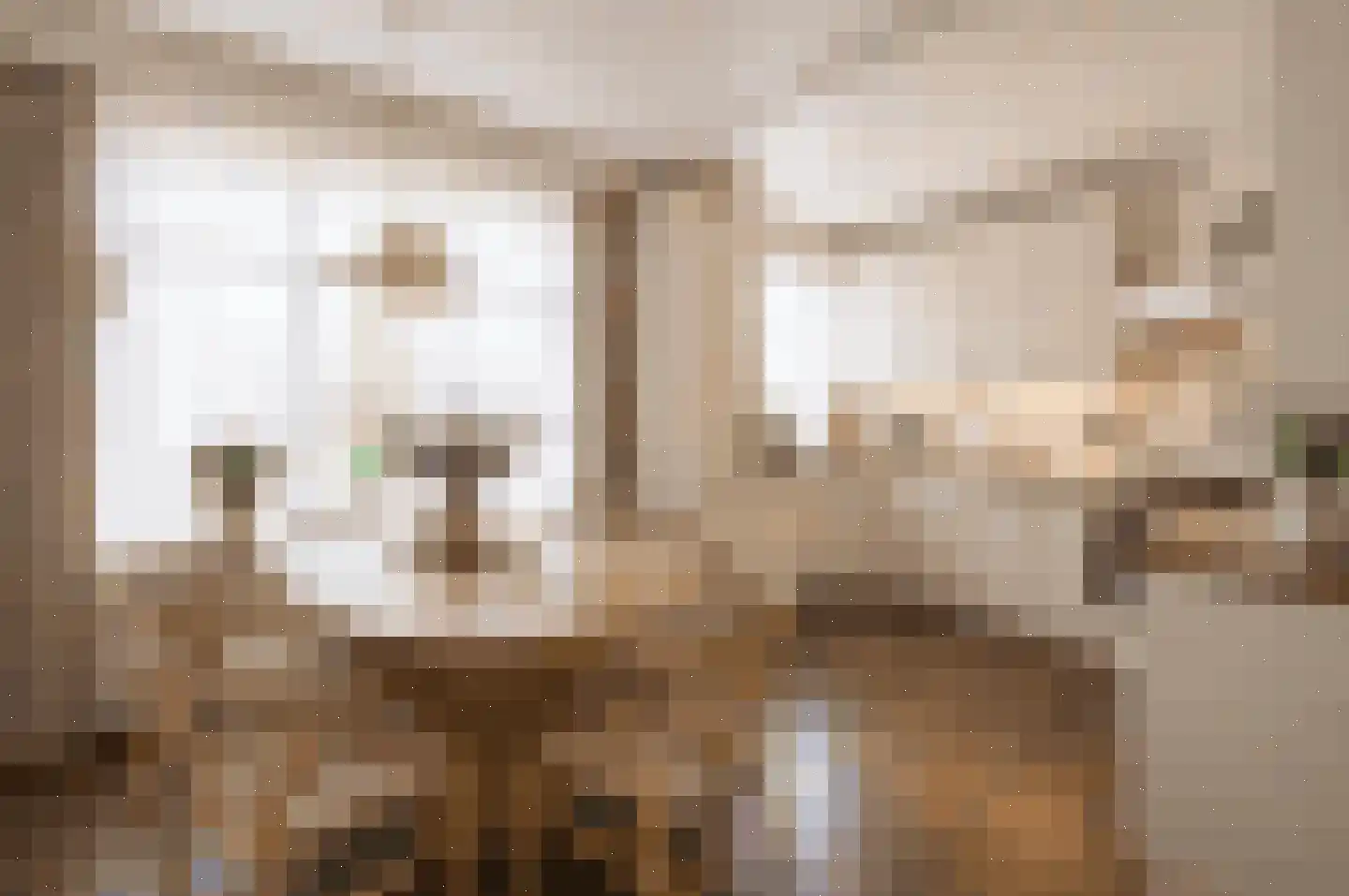 C Raaijmakerslaan 12 Oudenbosch thumbnail 17