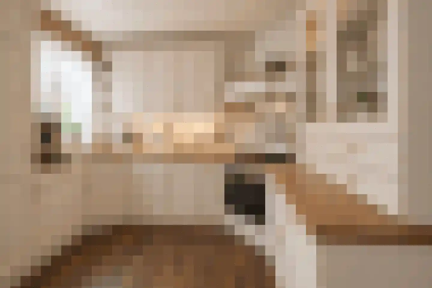 C Raaijmakerslaan 12 Oudenbosch thumbnail 19