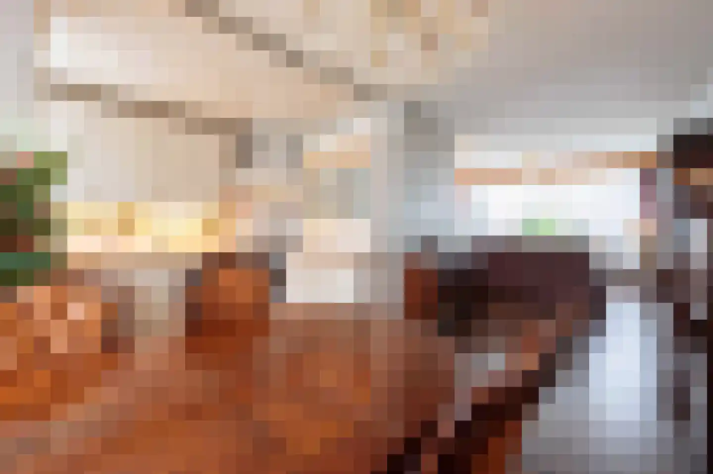 C Raaijmakerslaan 12 Oudenbosch thumbnail 24