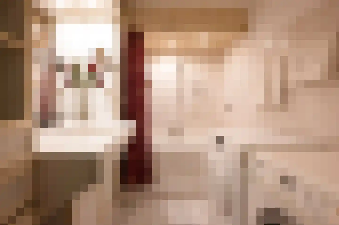 C Raaijmakerslaan 12 Oudenbosch thumbnail 31