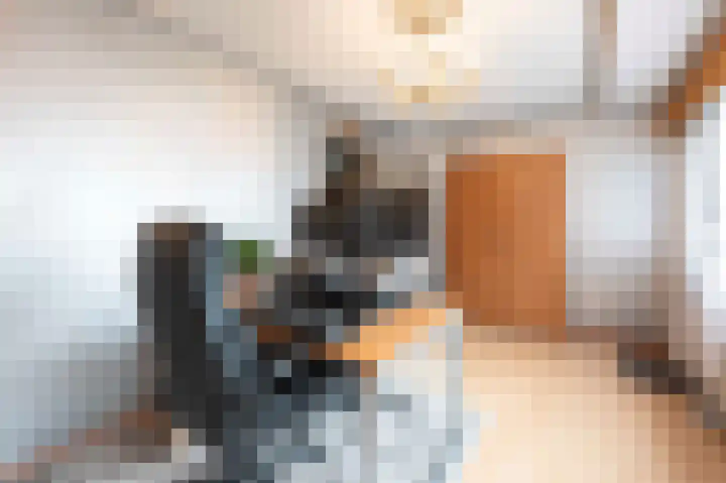 C Raaijmakerslaan 12 Oudenbosch thumbnail 7