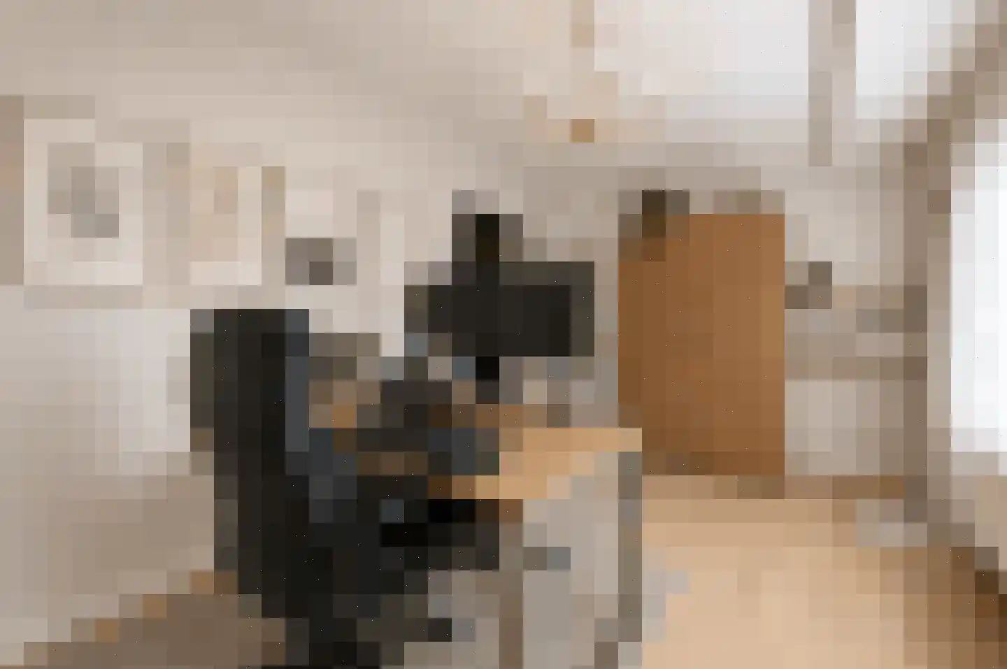 C Raaijmakerslaan 12 Oudenbosch thumbnail 8