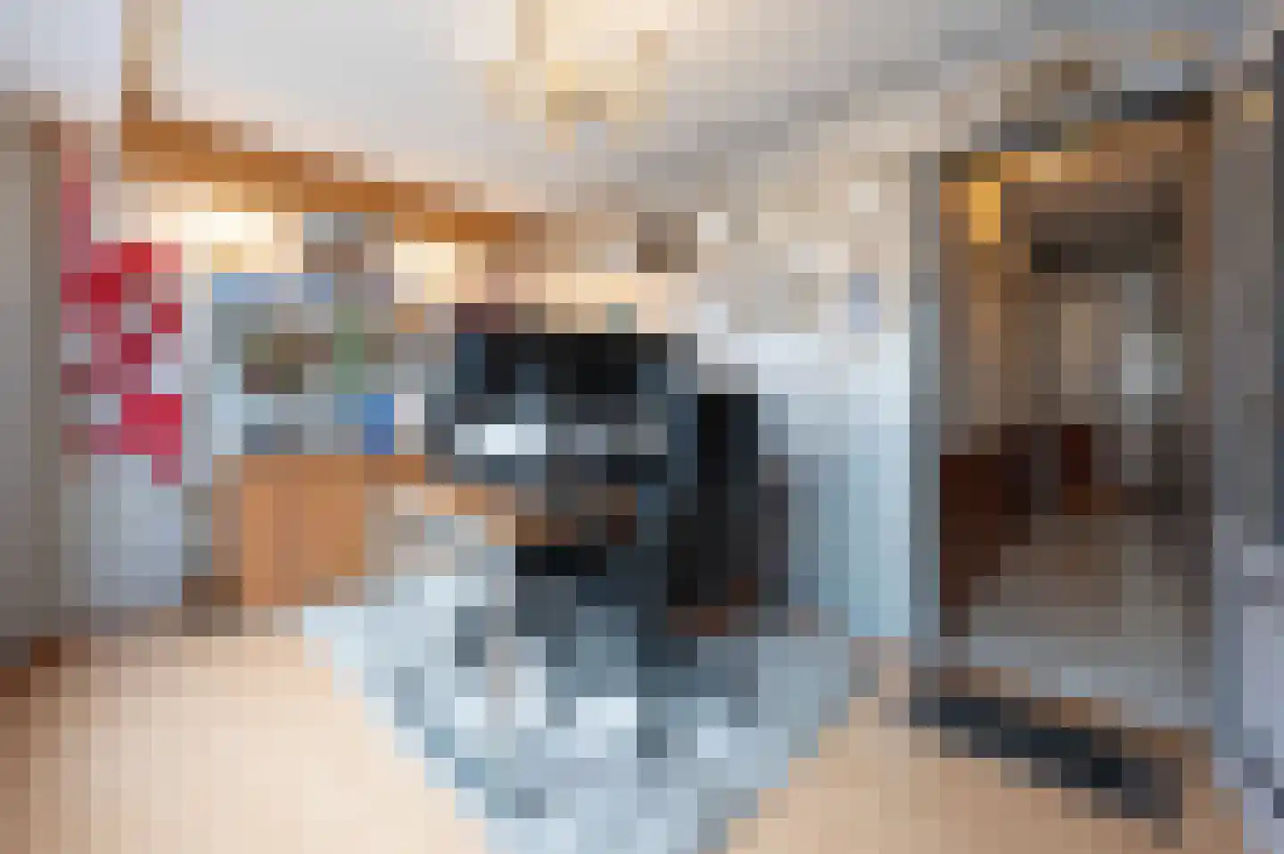 C Raaijmakerslaan 12 Oudenbosch thumbnail 9