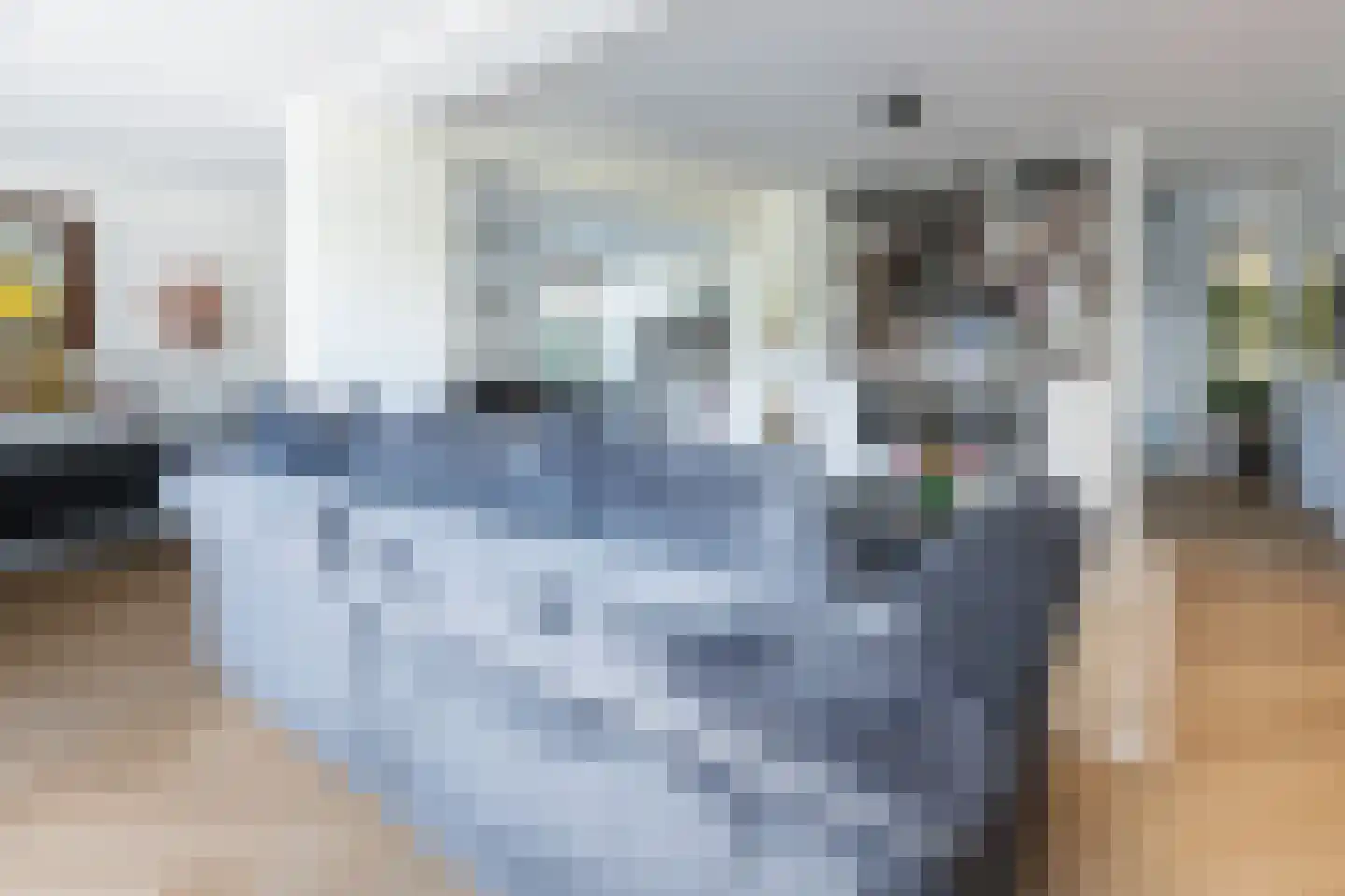 C Raaijmakerslaan 3 Oudenbosch thumbnail 18