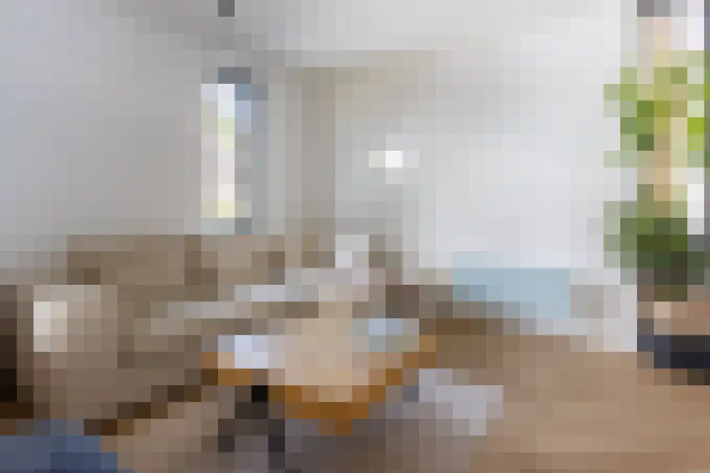 C Raaijmakerslaan 3 Oudenbosch thumbnail 20