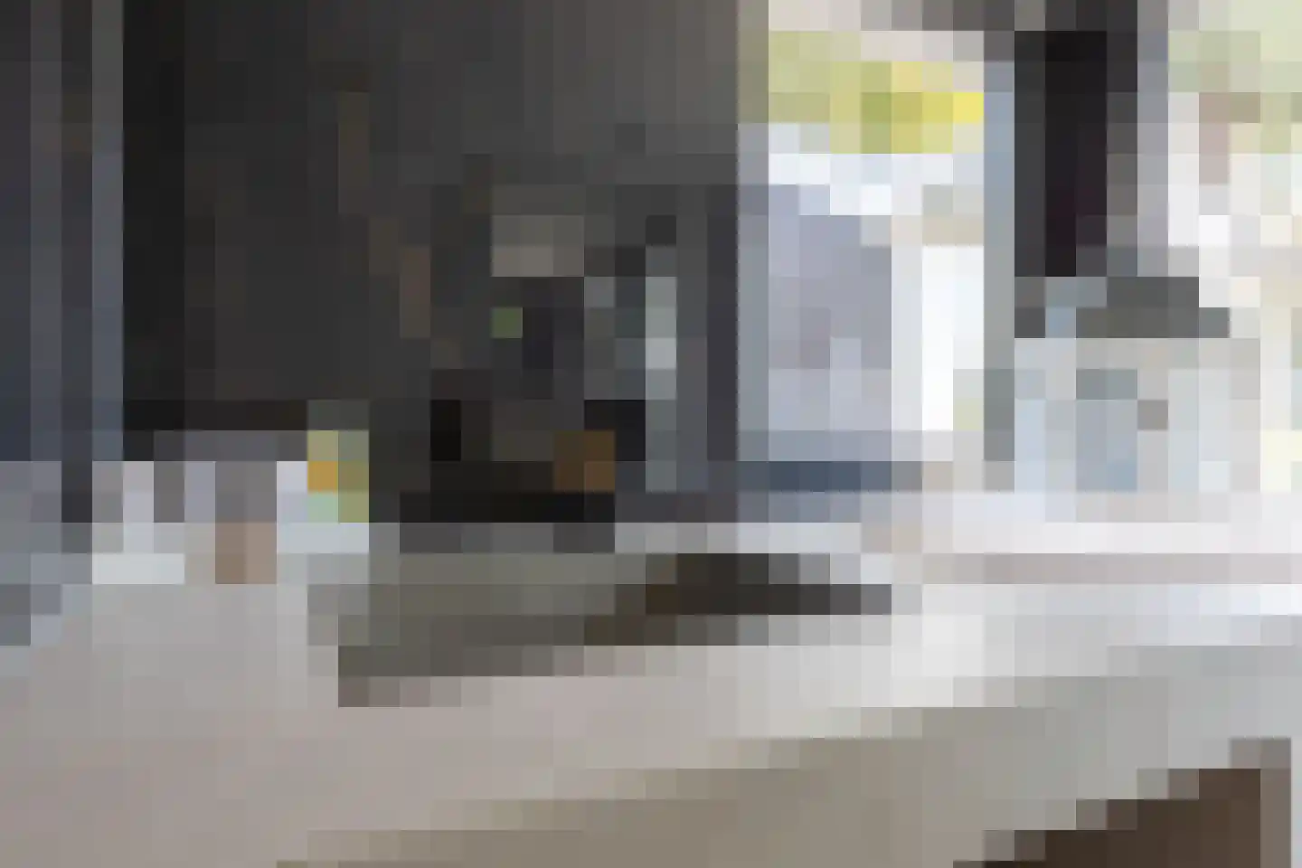 C Raaijmakerslaan 3 Oudenbosch thumbnail 26