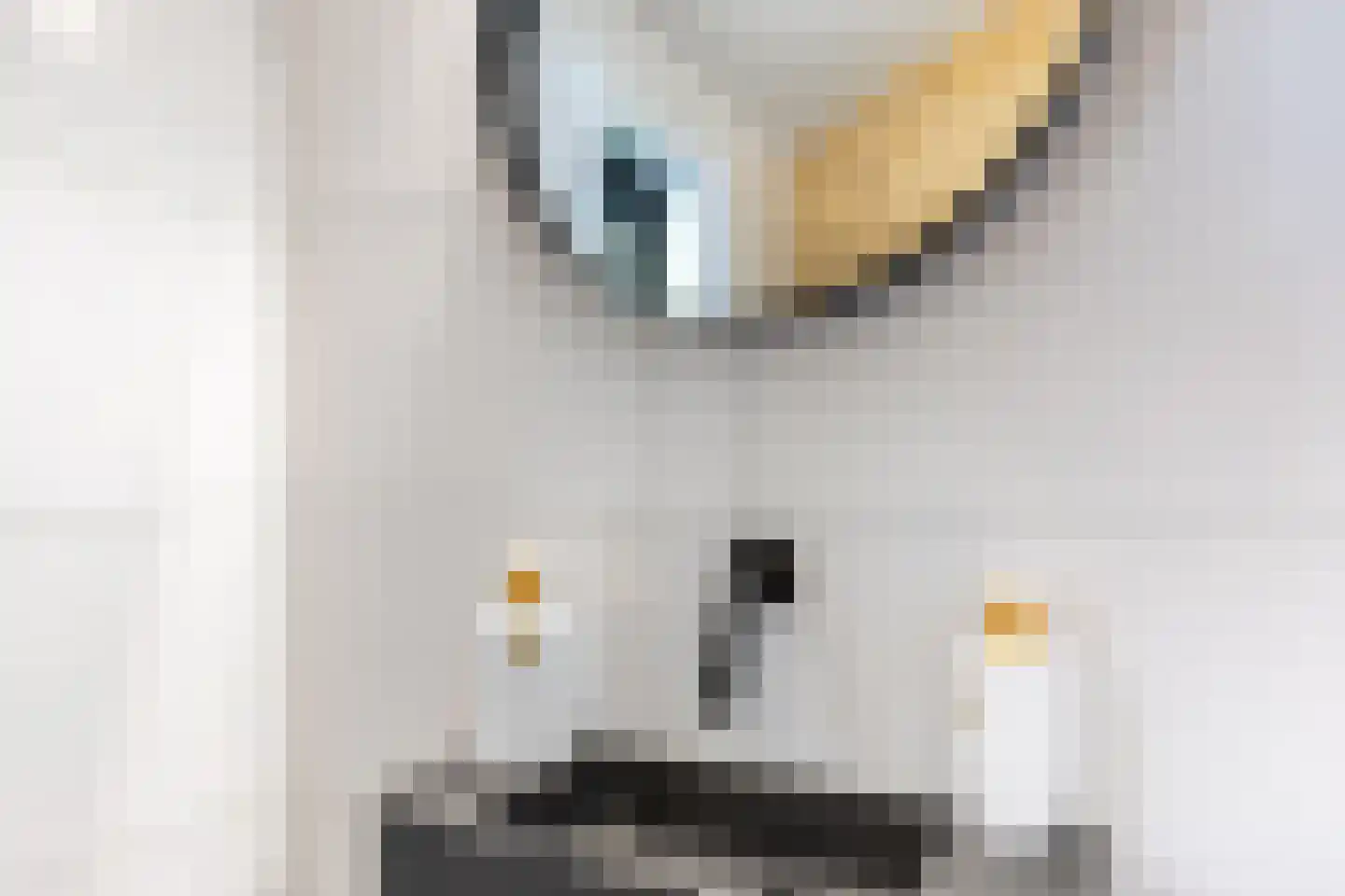 C Raaijmakerslaan 3 Oudenbosch thumbnail 31