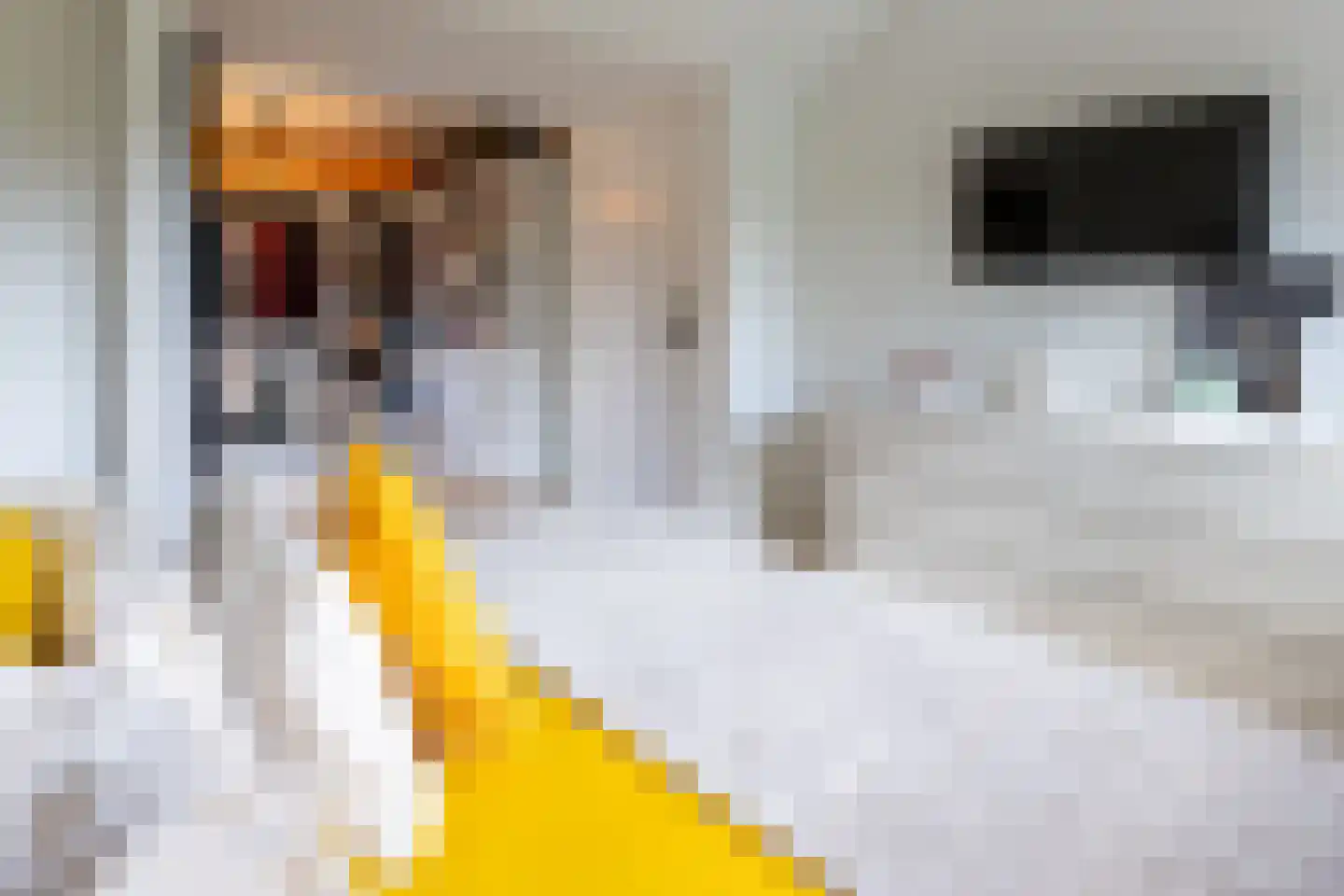 C Raaijmakerslaan 3 Oudenbosch thumbnail 35