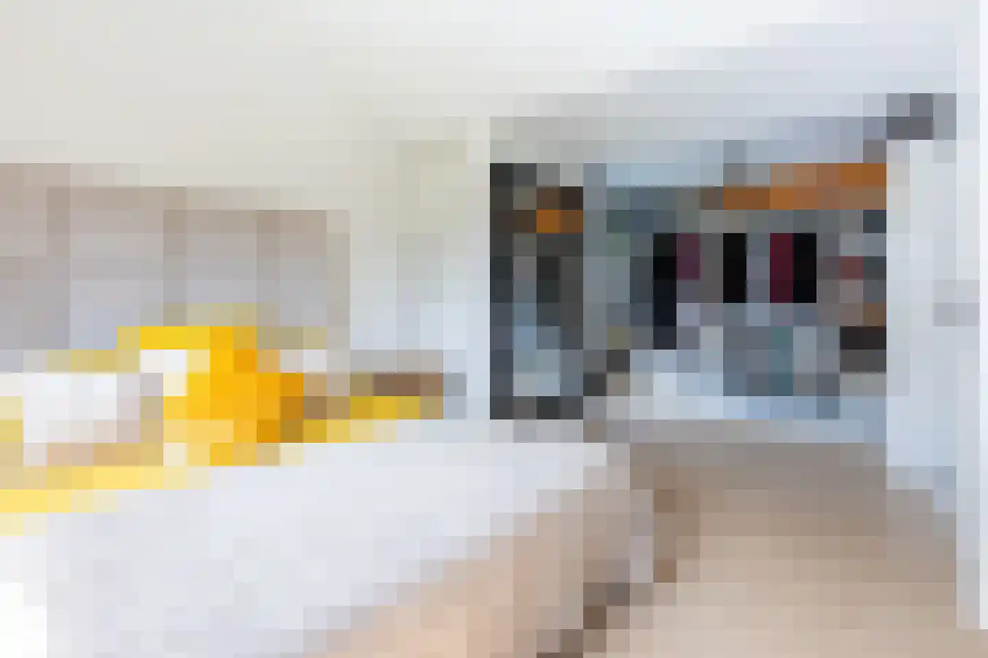 C Raaijmakerslaan 3 Oudenbosch thumbnail 36