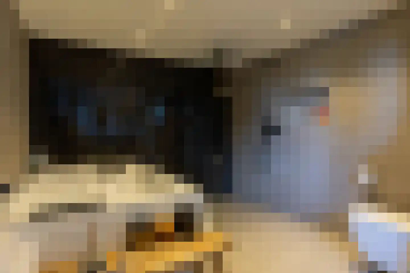 C Raaijmakerslaan 3 Oudenbosch thumbnail 38