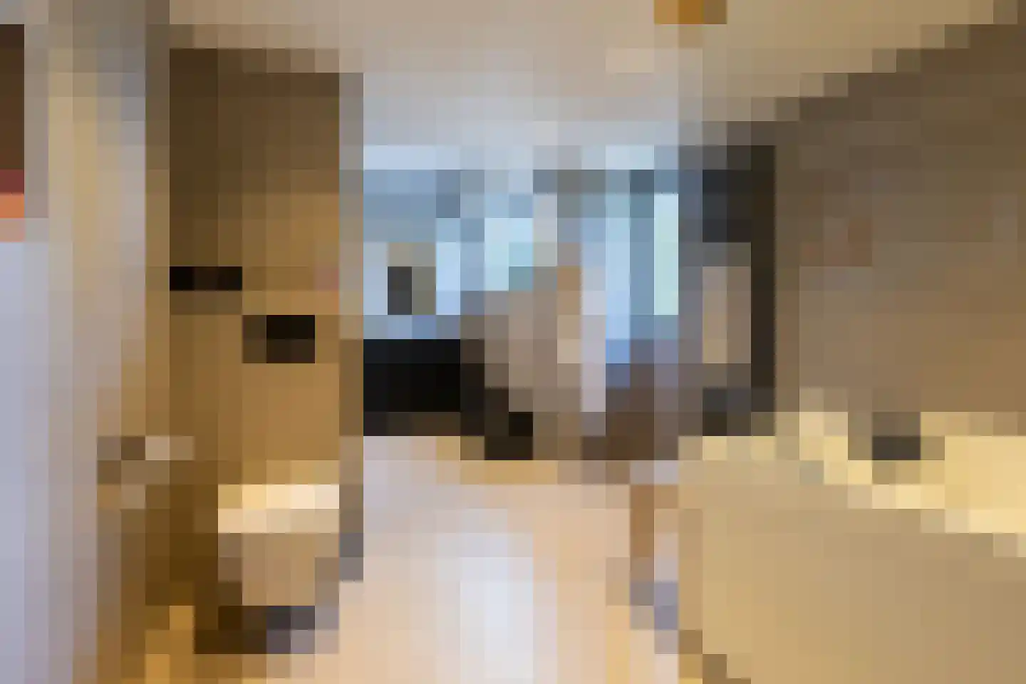 C Raaijmakerslaan 3 Oudenbosch thumbnail 39