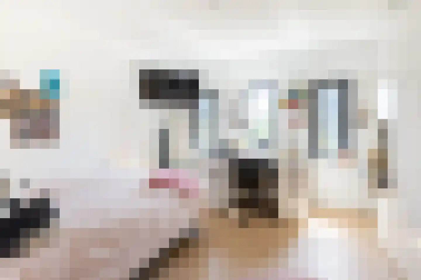 C Raaijmakerslaan 3 Oudenbosch thumbnail 42