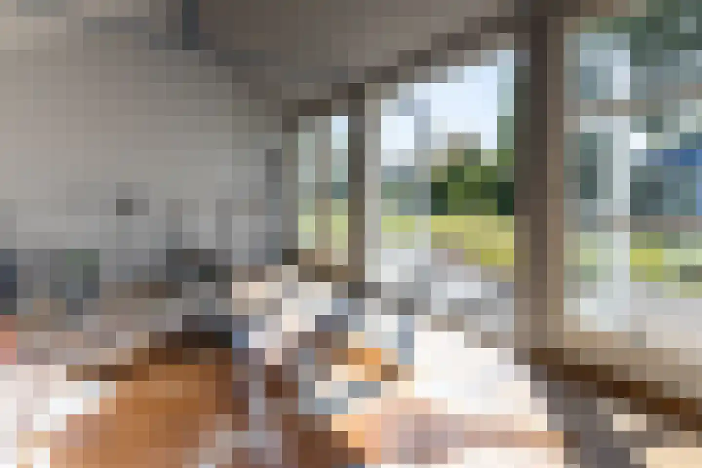 C Raaijmakerslaan 3 Oudenbosch thumbnail 51