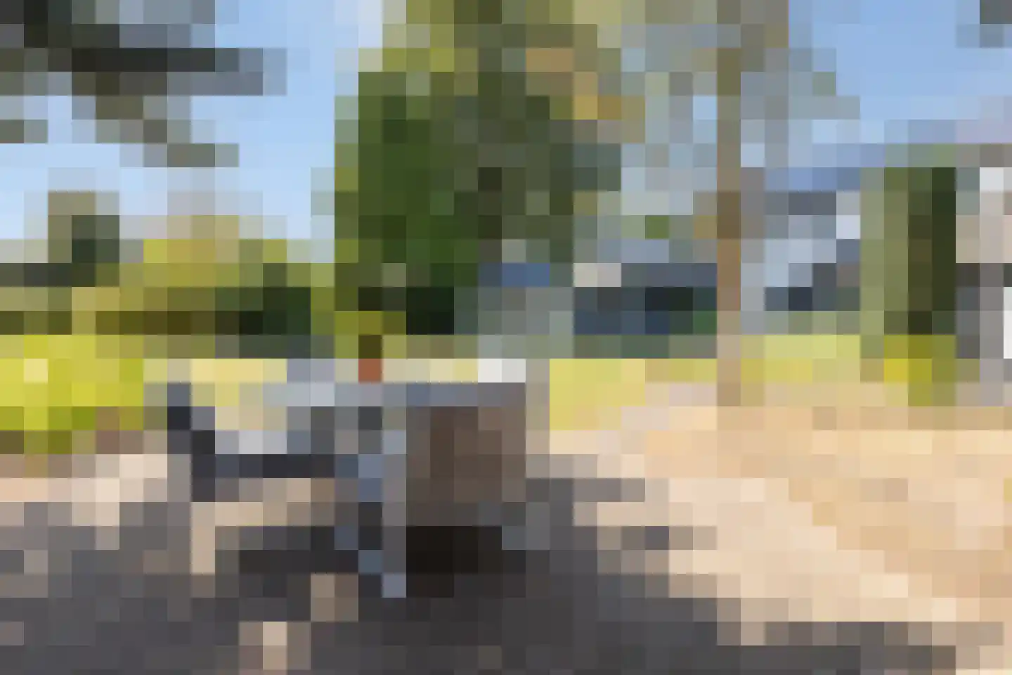 C Raaijmakerslaan 3 Oudenbosch thumbnail 52