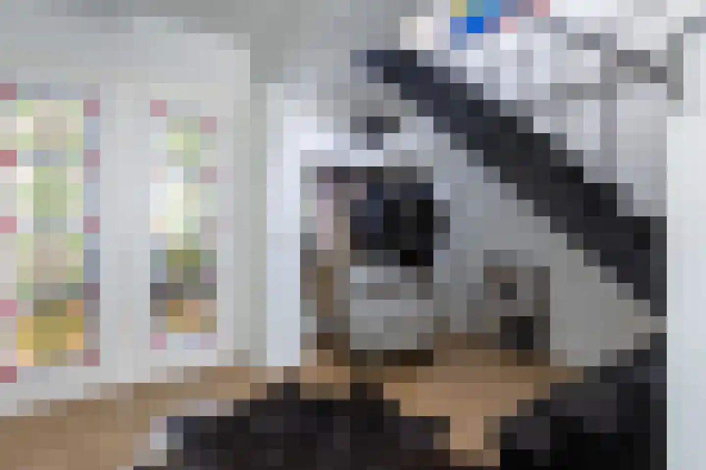 C Raaijmakerslaan 3 Oudenbosch thumbnail 6