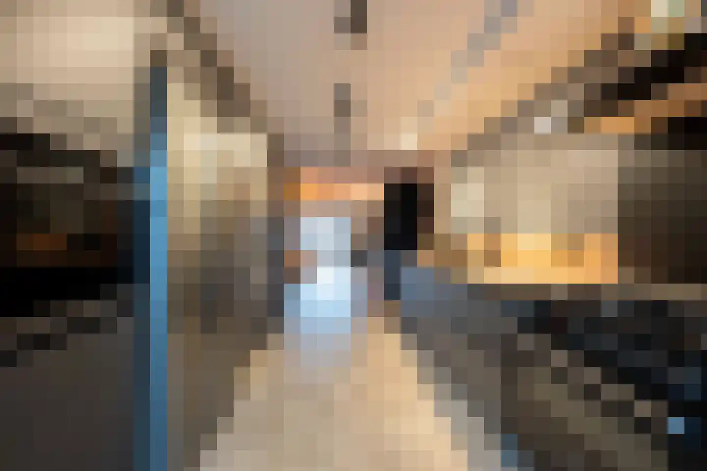 C Raaijmakerslaan 32 Oudenbosch thumbnail 19