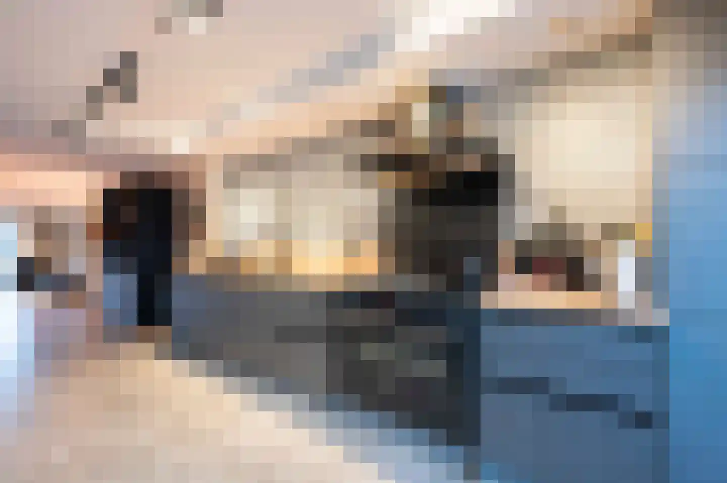 C Raaijmakerslaan 32 Oudenbosch thumbnail 20