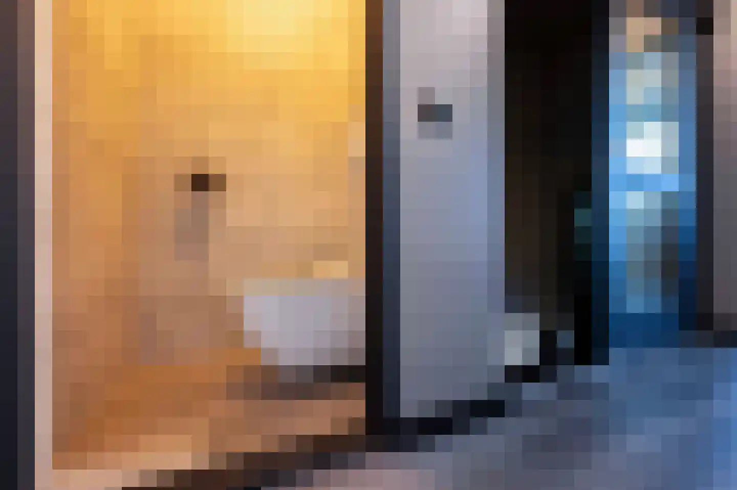 C Raaijmakerslaan 32 Oudenbosch thumbnail 34