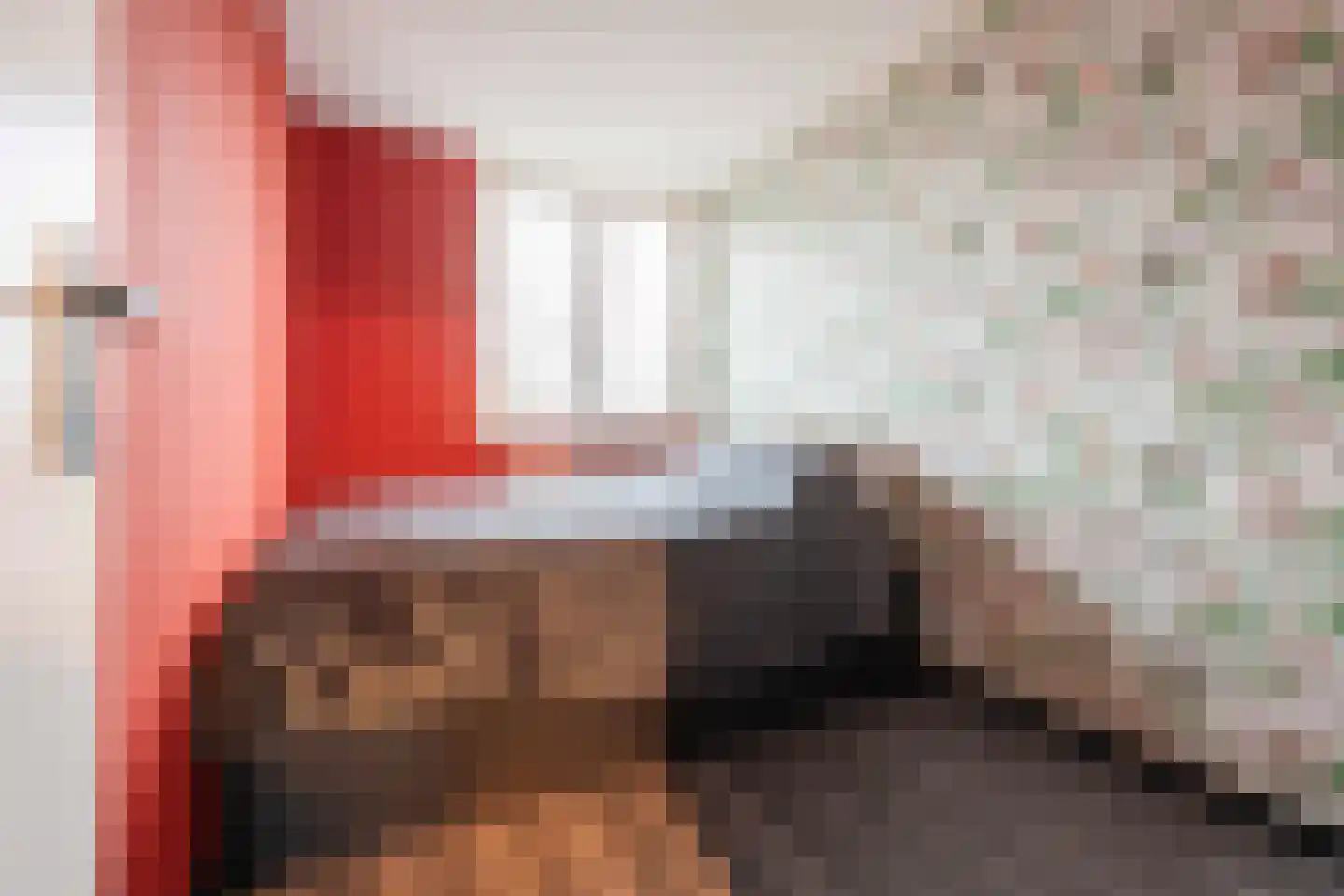 C Raaijmakerslaan 32 Oudenbosch thumbnail 38