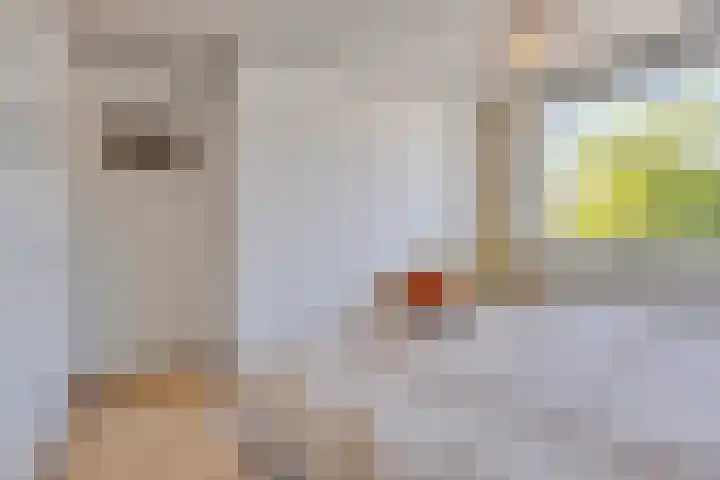 C. Rossemsstraat 16 Sint-Oedenrode thumbnail 23
