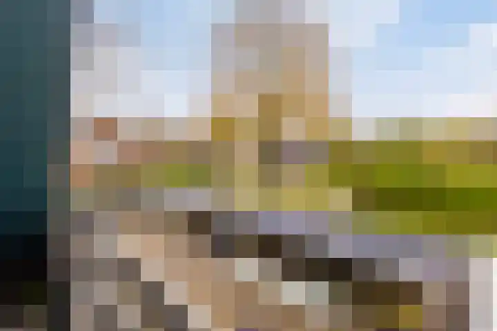 C.Schuurmanwei 10 Surhuizum thumbnail 23
