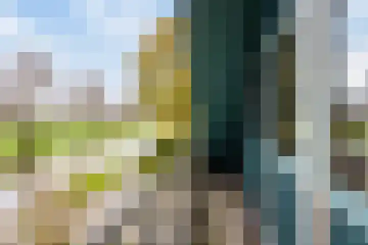 C.Schuurmanwei 10 Surhuizum thumbnail 28