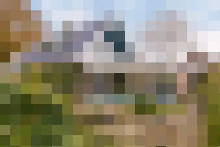 C.Schuurmanwei 10 Surhuizum thumbnail 35
