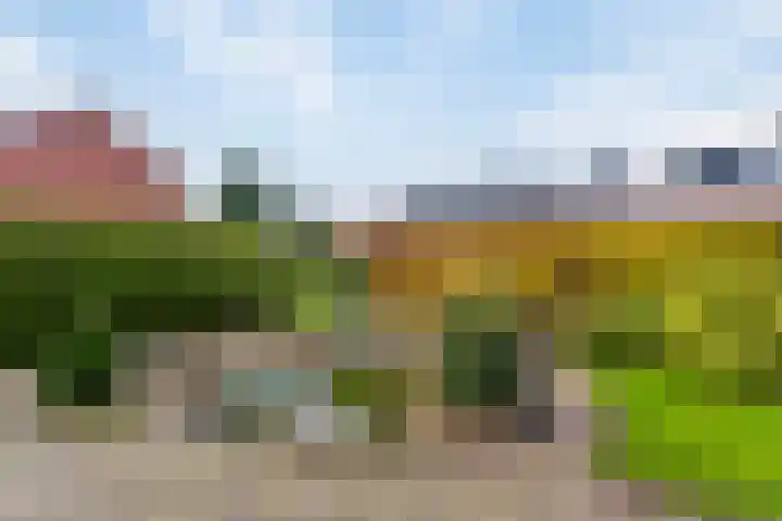 C.Schuurmanwei 10 Surhuizum thumbnail 36