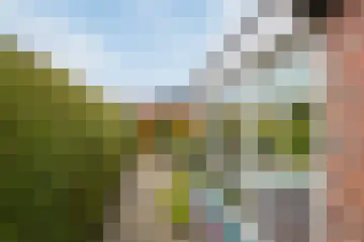 C.Schuurmanwei 10 Surhuizum thumbnail 38