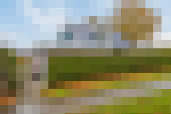 C.Schuurmanwei 10 Surhuizum thumbnail 39